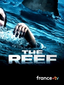 france.tv - The Reef
