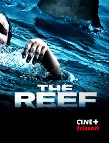 The Reef