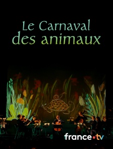 Culturebox - Le Carnaval des animaux