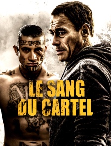 Le sang du cartel