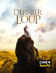 CINE+ Family - Le dernier loup