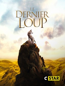 Le dernier loup