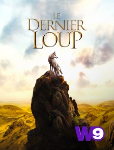 W9 - Le dernier loup