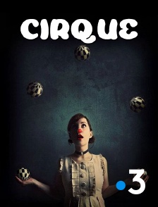 France 3 - Le Cirque Phénix - 25 ans