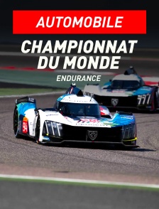 Automobile - Endurance : Championnat du monde