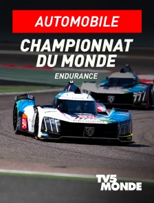 TV5MONDE - Automobile - Endurance : Championnat du monde