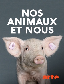 Arte - Nos animaux et nous