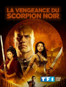 TF1 Séries Films - La vengeance du scorpion noir