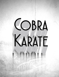 Cobra karaté