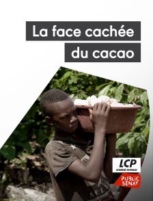 LCP Public Sénat - La face cachée du cacao