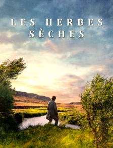 Les herbes sèches