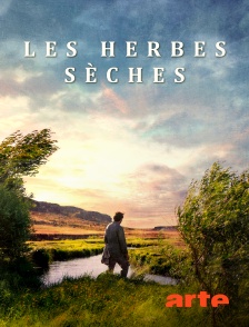 Arte - Les herbes sèches