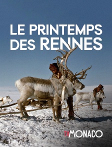 TV Monaco - Le printemps des rennes
