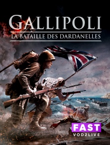 Molotov Channels TEST FAST - Gallipoli - La bataille des Dardanelles