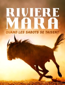Rivière Mara, quand les sabots se taisent : Le berceau de la savane