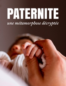 Paternité : une métamorphose décryptée
