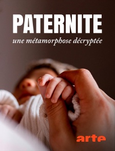 Arte - Paternité : une métamorphose décryptée