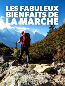 Les fabuleux bienfaits de la marche