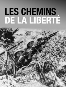 Les chemins de la liberté