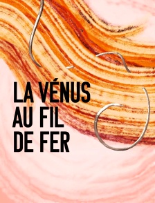 La Vénus au fil de fer