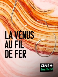 CINE+ Festival - La Vénus au fil de fer