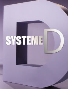 Système D