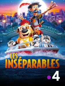 France 4 - Les Inséparables