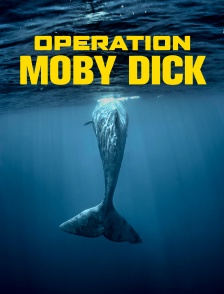 Opération Moby Dick