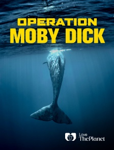 Love the Planet - Opération Moby Dick