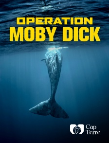 Cap Terre - Opération Moby Dick