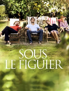 Sous le figuier