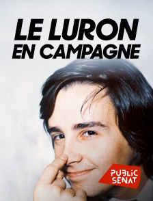 Public Sénat - Le luron en campagne