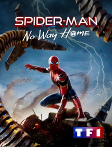 Spider-Man : No Way Home