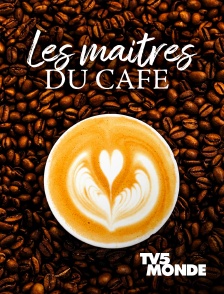 TV5MONDE - Les maîtres du café