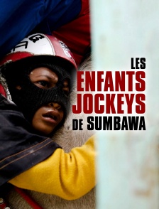 Les enfants jockeys de Sumbawa