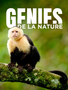 Génies de la nature