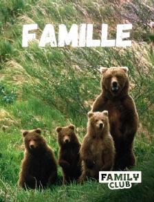 Family Club - Lost in the Woods