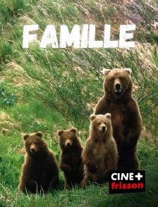 CINE+ Frisson - La Légende d'Ochi