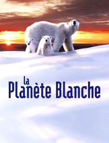 La planète blanche