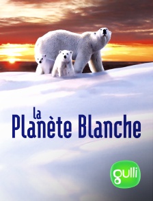 La planète blanche