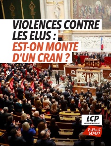 LCP Public Sénat - Des élus face à la violence