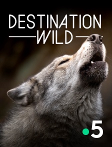 France 5 - Destination Wild