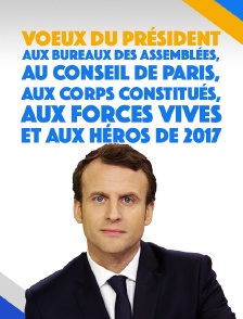 Voeux du Président aux bureaux des Assemblées, au Conseil de Paris, aux corps constitués, aux forces vives et aux héros de 2017