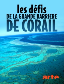 Les défis de la Grande Barrière de corail