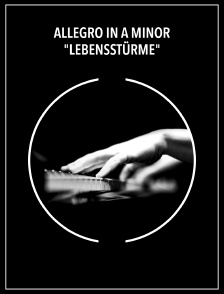 Allegro in A Minor "Lebensstürme"