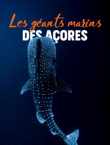 Les géants marins des Açores