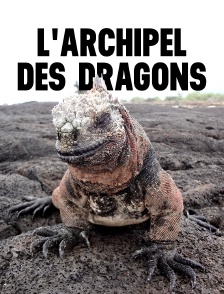 L'archipel des dragons