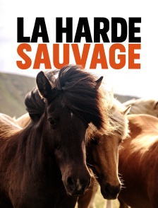 La harde sauvage