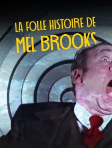 La folle histoire de Mel Brooks