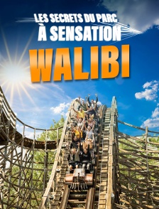 Walibi : les secrets du parc à sensations